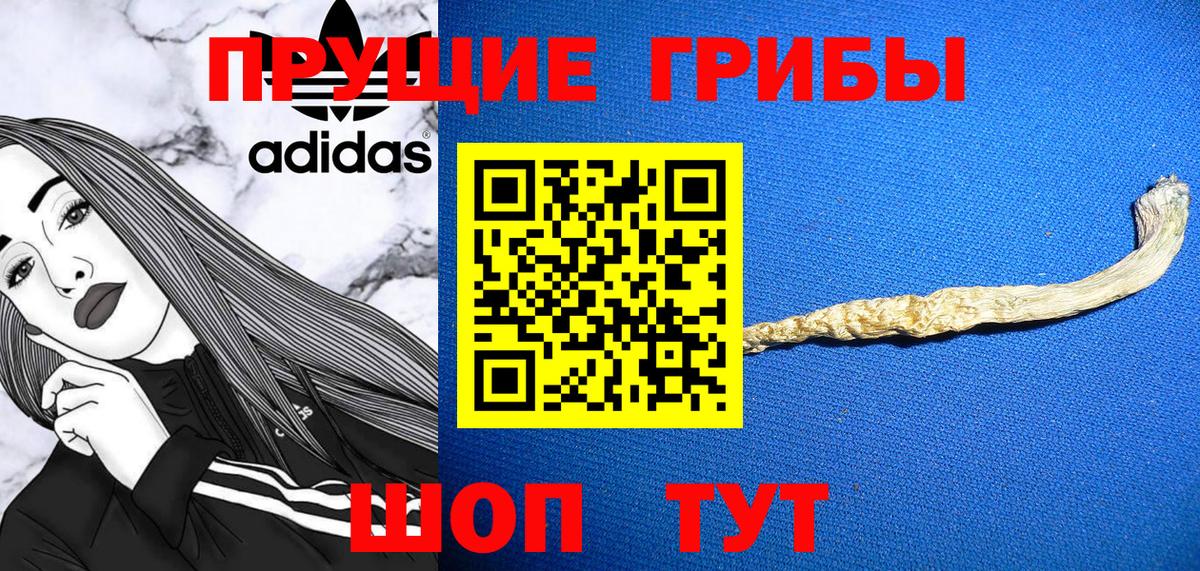 Псилоцибиновые грибы ЛСД  Вход с VPN  Псилоцибиновые грибы мицелий  Сосновый Бор 